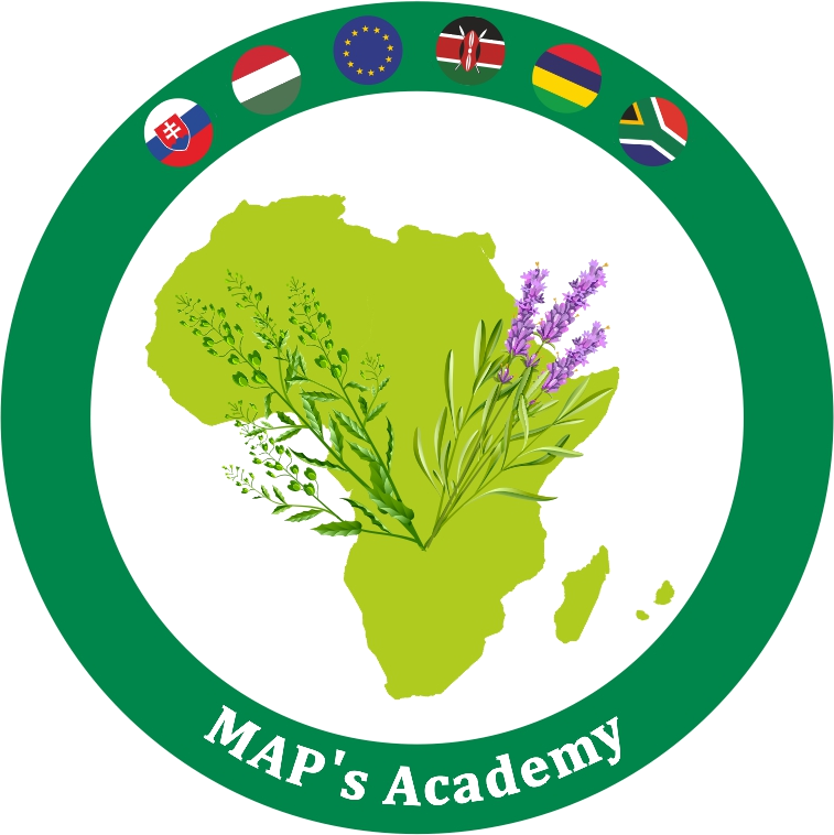 MAP's Academy logo