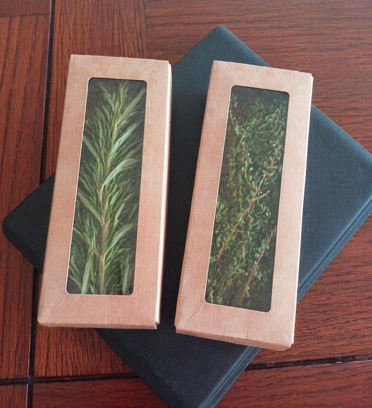 Climate Change Mitigation South Africa 3