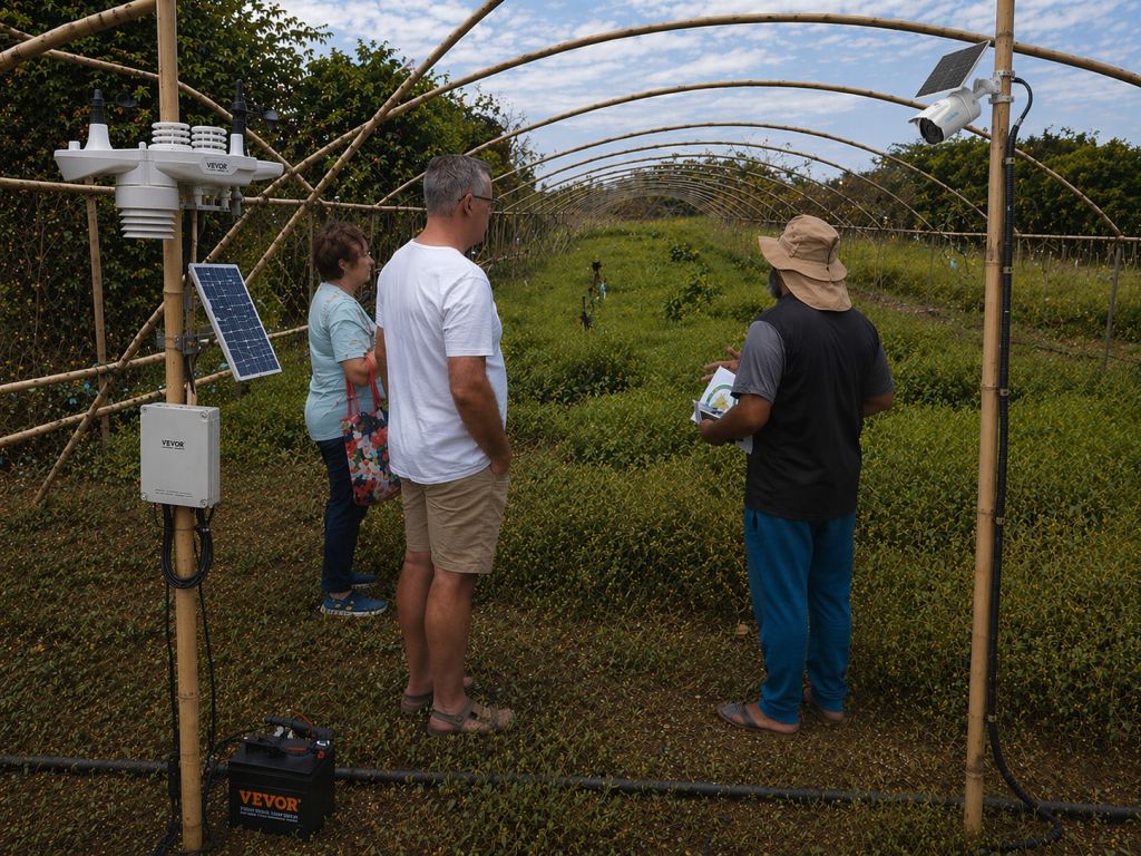 Digitisation Mauritius 4