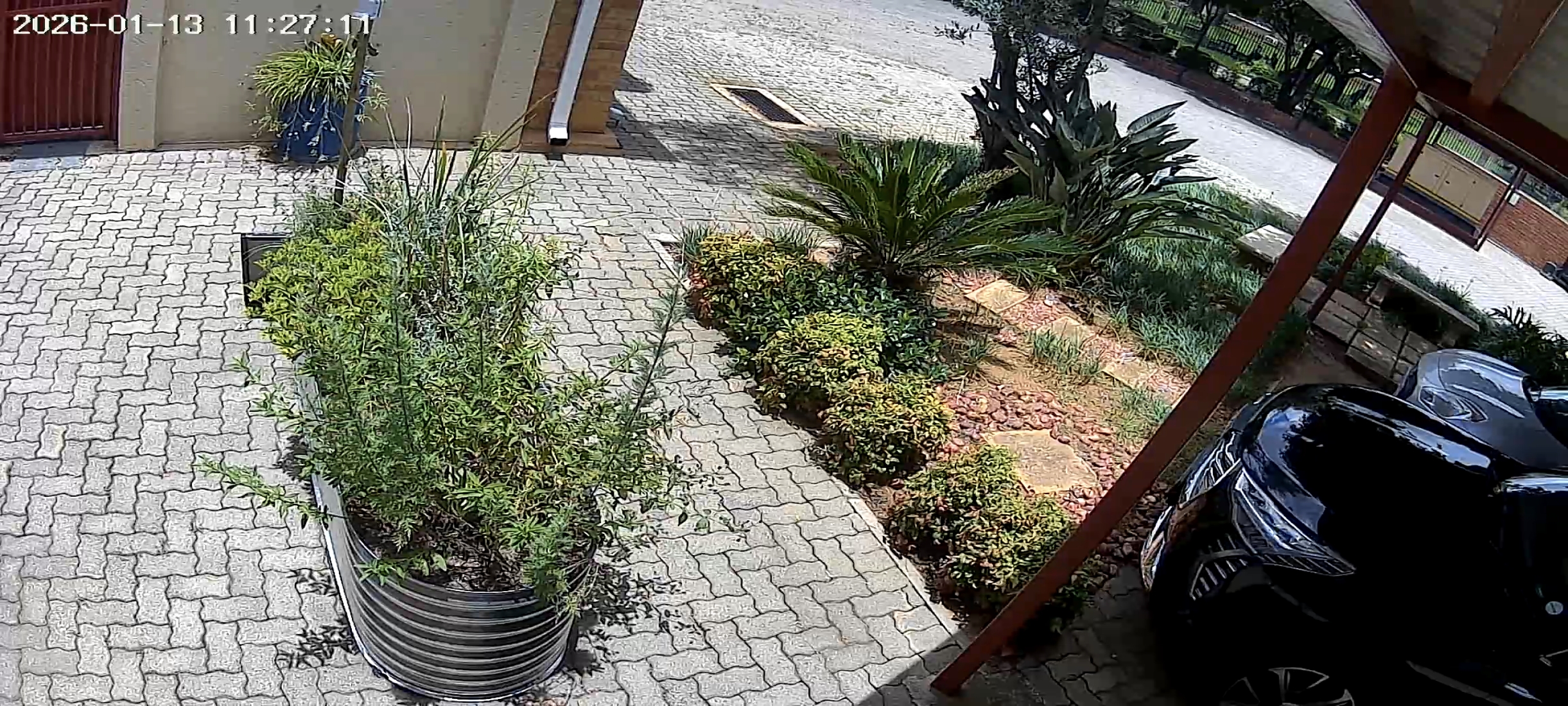 Digitisation South Africa 3