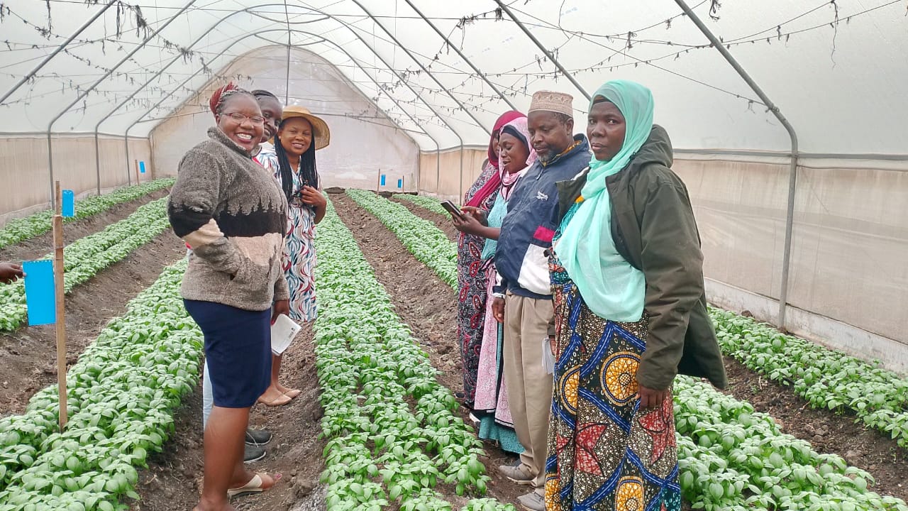 Experimental Field Kenya 3