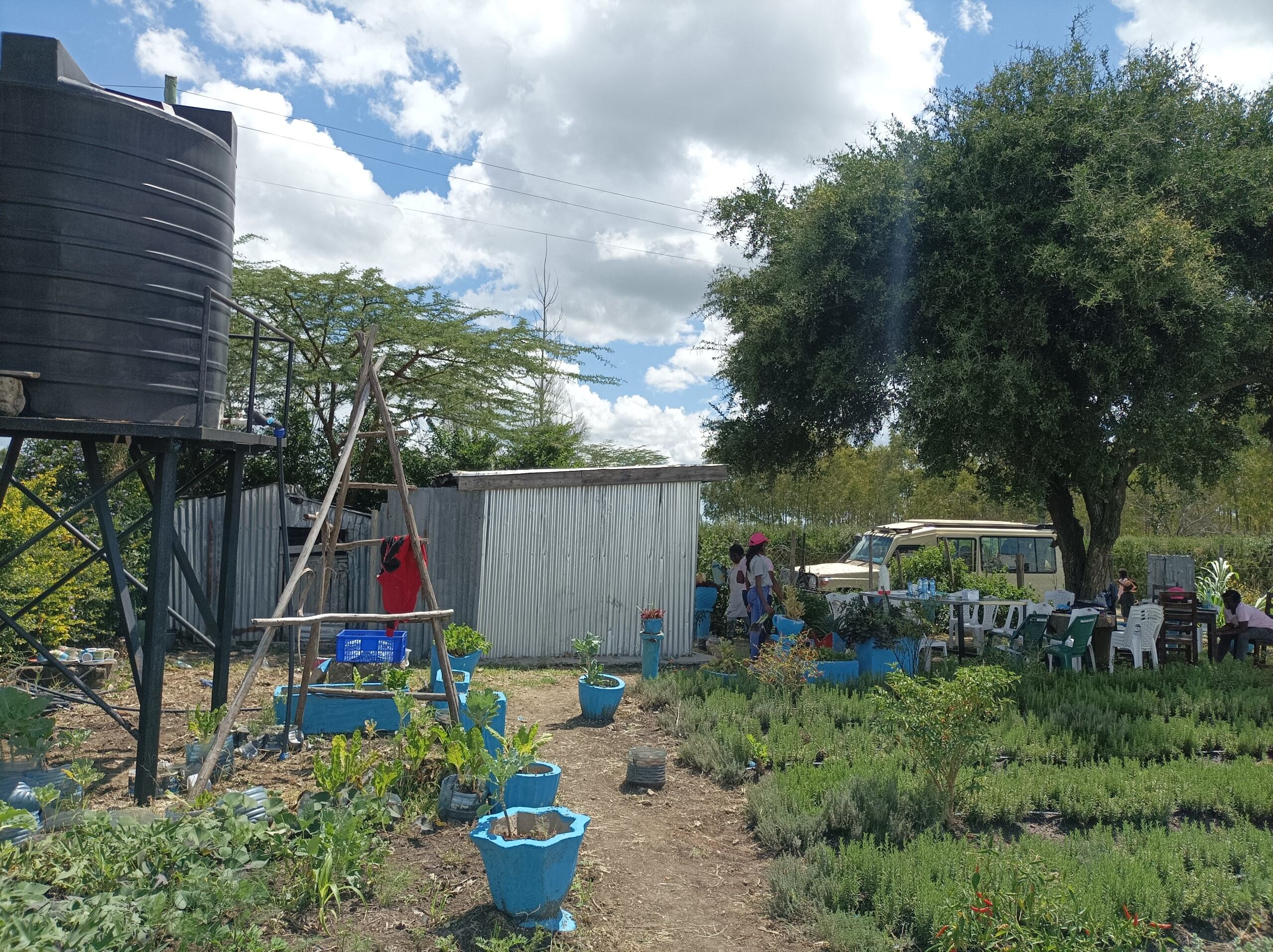 Experimental Field South Africa 1