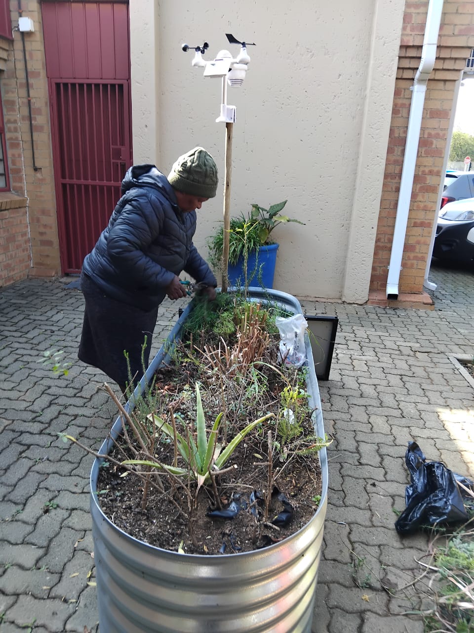 South Africa – Pretoria Visual Record 2