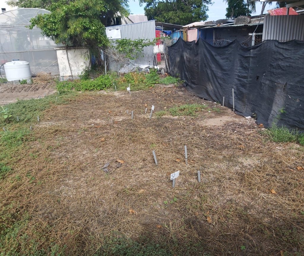 MAPs ACE pilot testing in Rodrigues island, Mauritius, March 2026