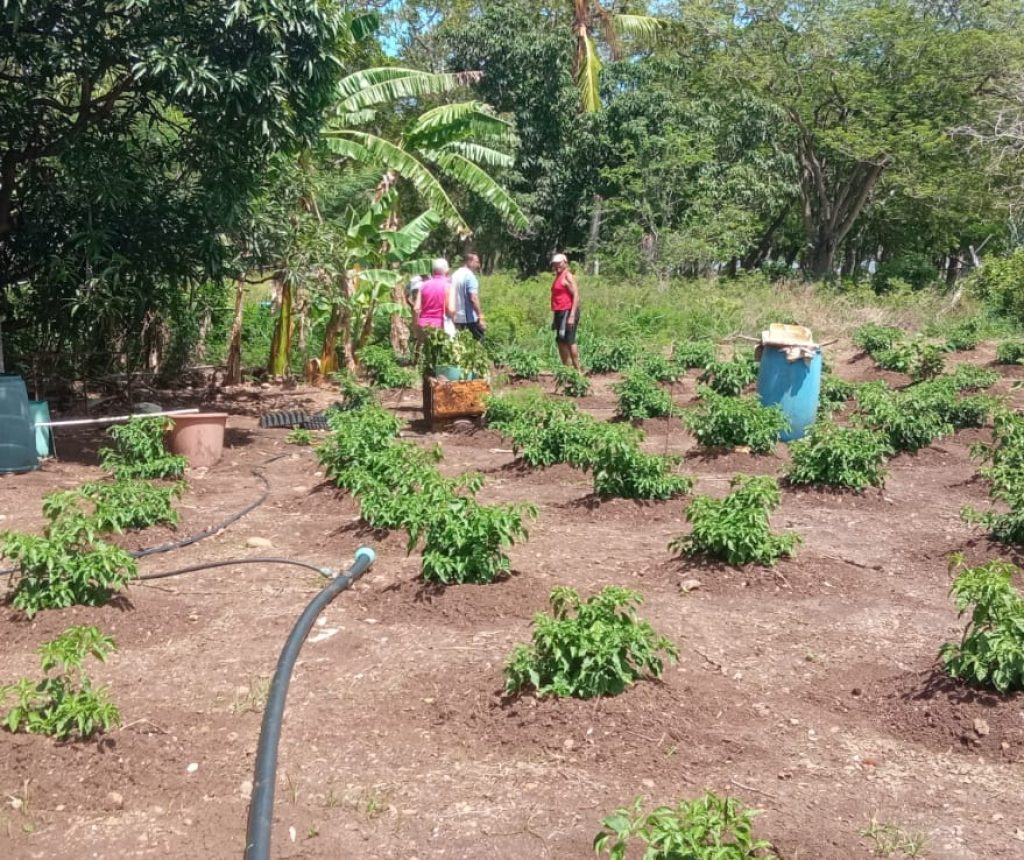 MAPs ACE pilot testing in Rodrigues island, Mauritius, March 2026
